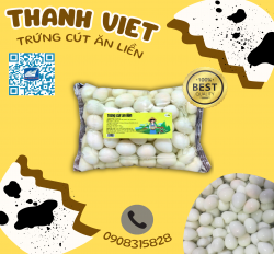 TRỨNG CÚT ĂN LIỀN 100 TRỨNG/ TÚI