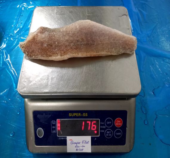 Cá Basa FILLET size 400 UP 1kg
