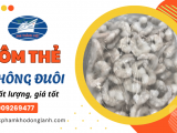 Cung cấp tôm thẻ không đuôi chất lượng, giá tốt tại Thành Việt