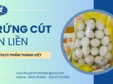 Đơn vị cung cấp trứng cút ăn liền chất lượng uy tín ở HCM – Thành Việt