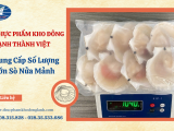 Đơn Vị Cung Cấp Sỉ Số Lượng Sò Nửa Mảnh Tại TPHCM