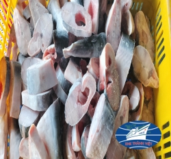 CÁ BASA CẮT KHÚC ĐÔNG LẠNH 