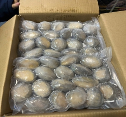 BÀO NGƯ ĐÔNG LẠNH CÁC SIZE