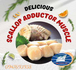 CỒI SÒ ĐIỆP ĐÔNG LẠNH