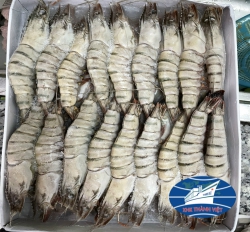 TÔM SÚ QUẢNG CANH ĐÔNG LẠNH