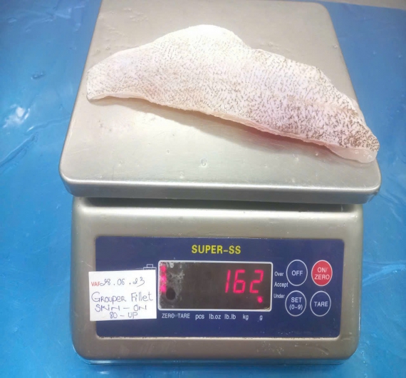 Cá Mú fillet 1kg