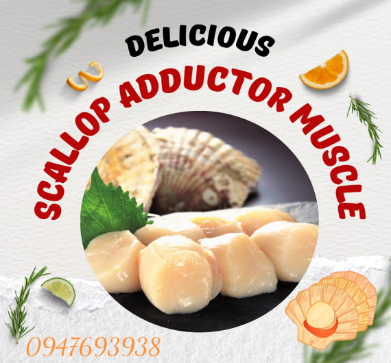 CỒI SÒ ĐIỆP ĐÔNG LẠNH