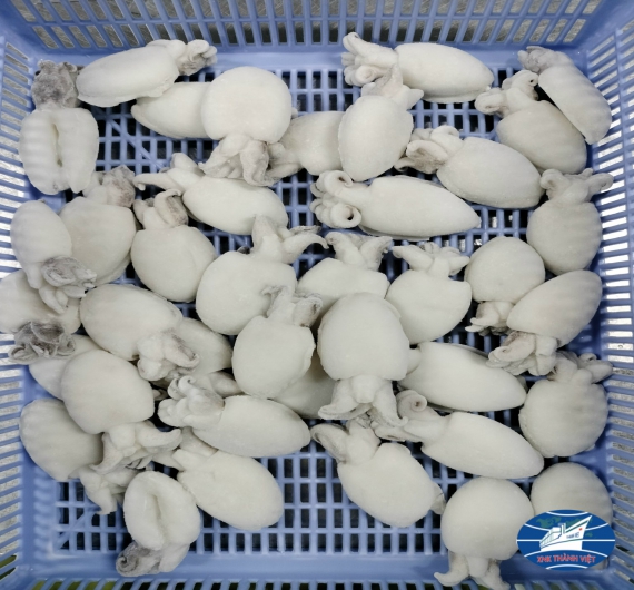 MỰC NÚT NGUYÊN CON LÀM SẠCH SIZE 20/40