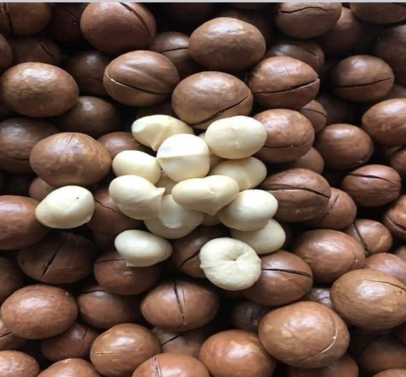 HẠT MACCA 200G