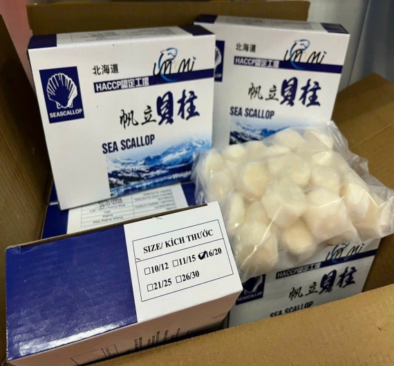 CỒI SÒ ĐIỆP ĐÔNG LẠNH