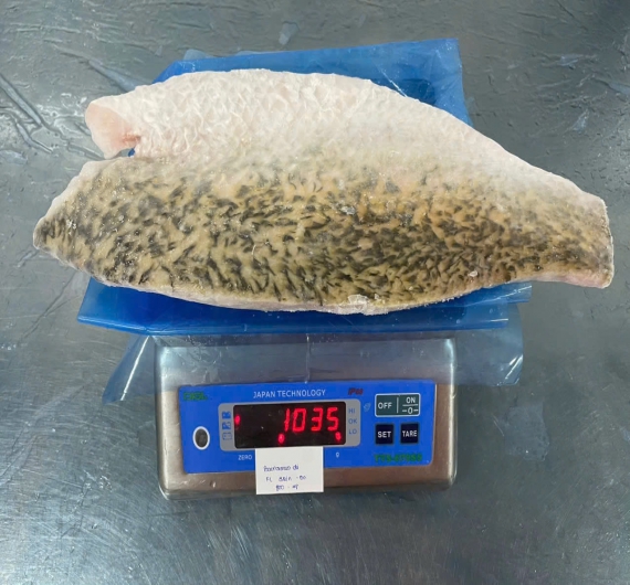 Cá Chẽm