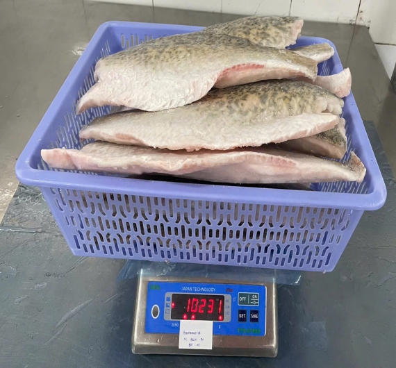 Cá Chẽm