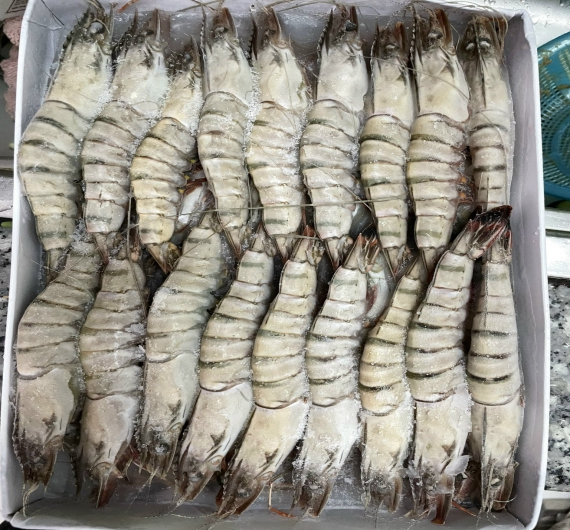 TÔM SÚ QUẢNG CANH ĐÔNG LẠNH