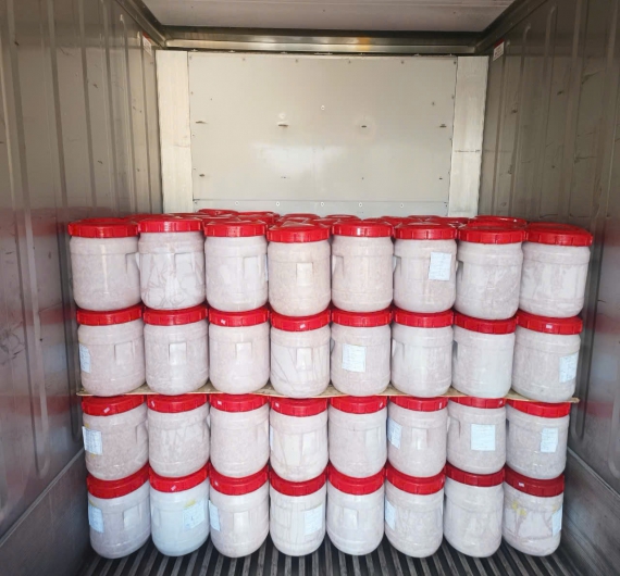 RUỐC MUỐI 1KG