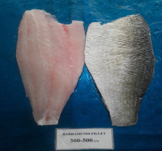 Cá chẽm fillet ( cá vược ) 1kg size 300/500g