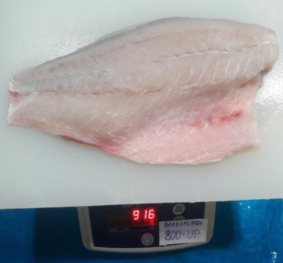 Cá chẽm fillet ( cá vược ) 1kg size 300/500g