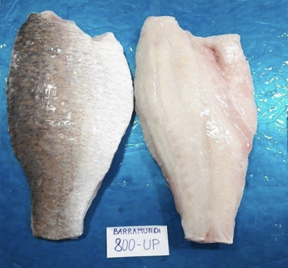 Cá chẽm fillet ( cá vược ) 1kg size 300/500g