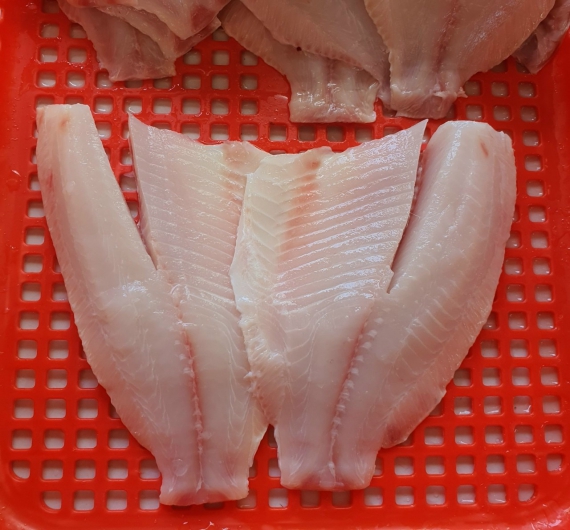 Cá diêu hồng fille đông lạnh 1kg size 100-300up và 300 up
