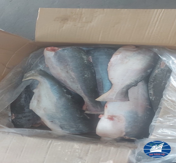 CÁ BASA CẮT KHÚC ĐÔNG LẠNH 