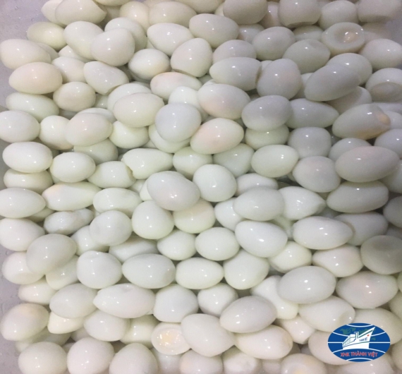 TRỨNG CÚT ĂN LIỀN CÁC LOẠI 30-50-100 TRỨNG/ TÚI