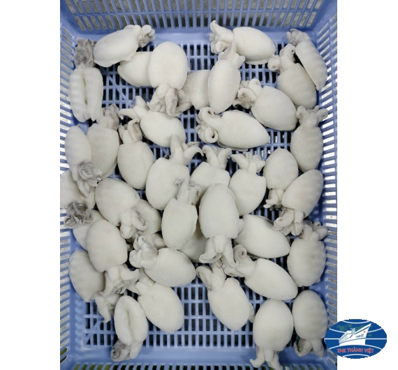 MỰC NÚT NGUYÊN CON LÀM SẠCH SIZE 20/40