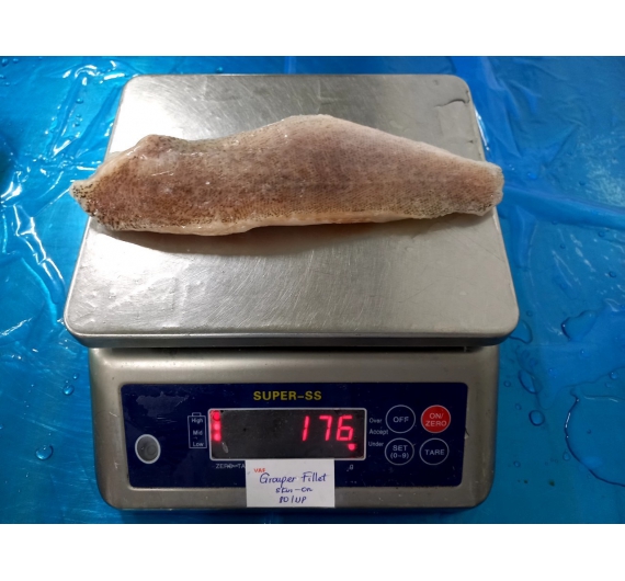 Cá Basa FILLET size 300-400 UP 