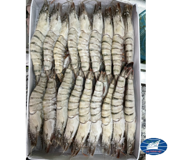 TÔM SÚ QUẢNG CANH ĐÔNG LẠNH