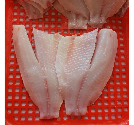 Cá diêu hồng fille đông lạnh 1kg size 100-300up và 300 up