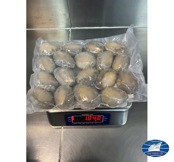BÀO NGƯ ĐÔNG LẠNH CÁC SIZE