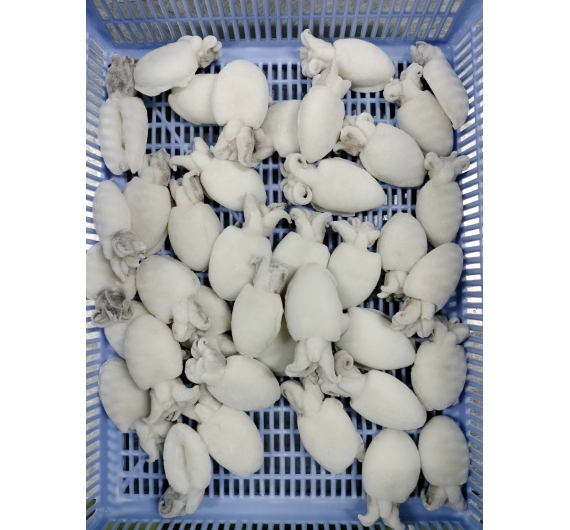 MỰC NÚT NGUYÊN CON LÀM SẠCH SIZE 20/40