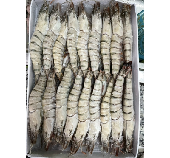 TÔM SÚ QUẢNG CANH ĐÔNG LẠNH