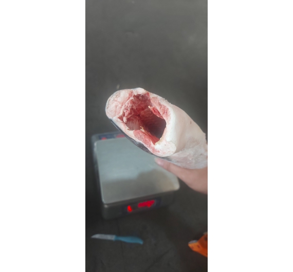 CÁ BASA CẮT KHÚC ĐÔNG LẠNH